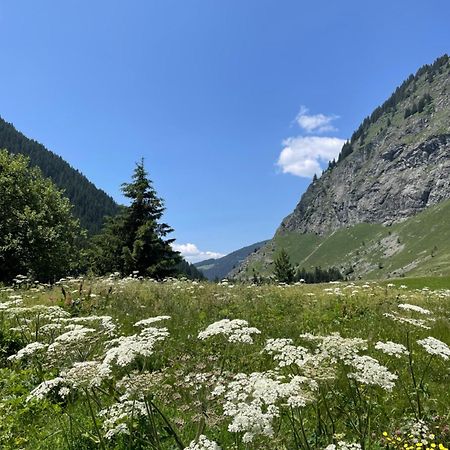 T2 Vue Sur Le Parc De La Vanoise La Plagne Eksteriør billede