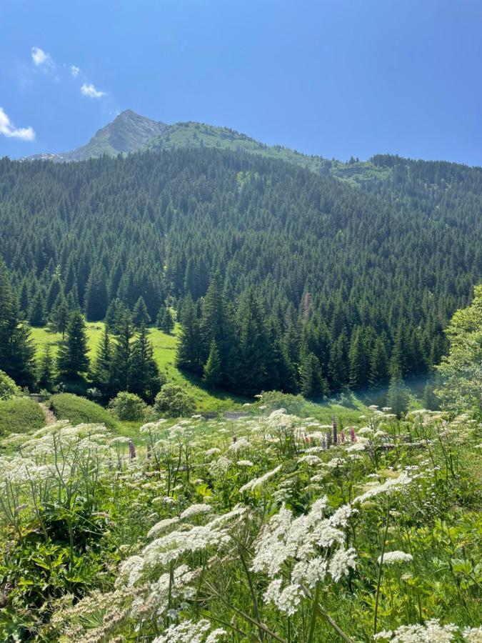 T2 Vue Sur Le Parc De La Vanoise La Plagne Eksteriør billede