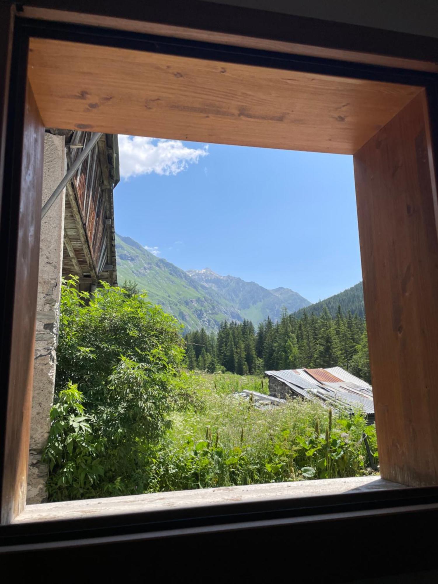 T2 Vue Sur Le Parc De La Vanoise La Plagne Eksteriør billede
